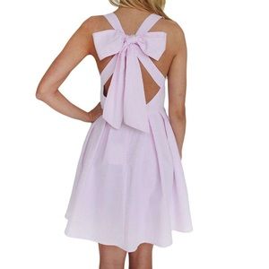 NWT Lauren James Livingston Pink Stripe Dress